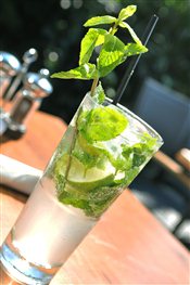 Mojito